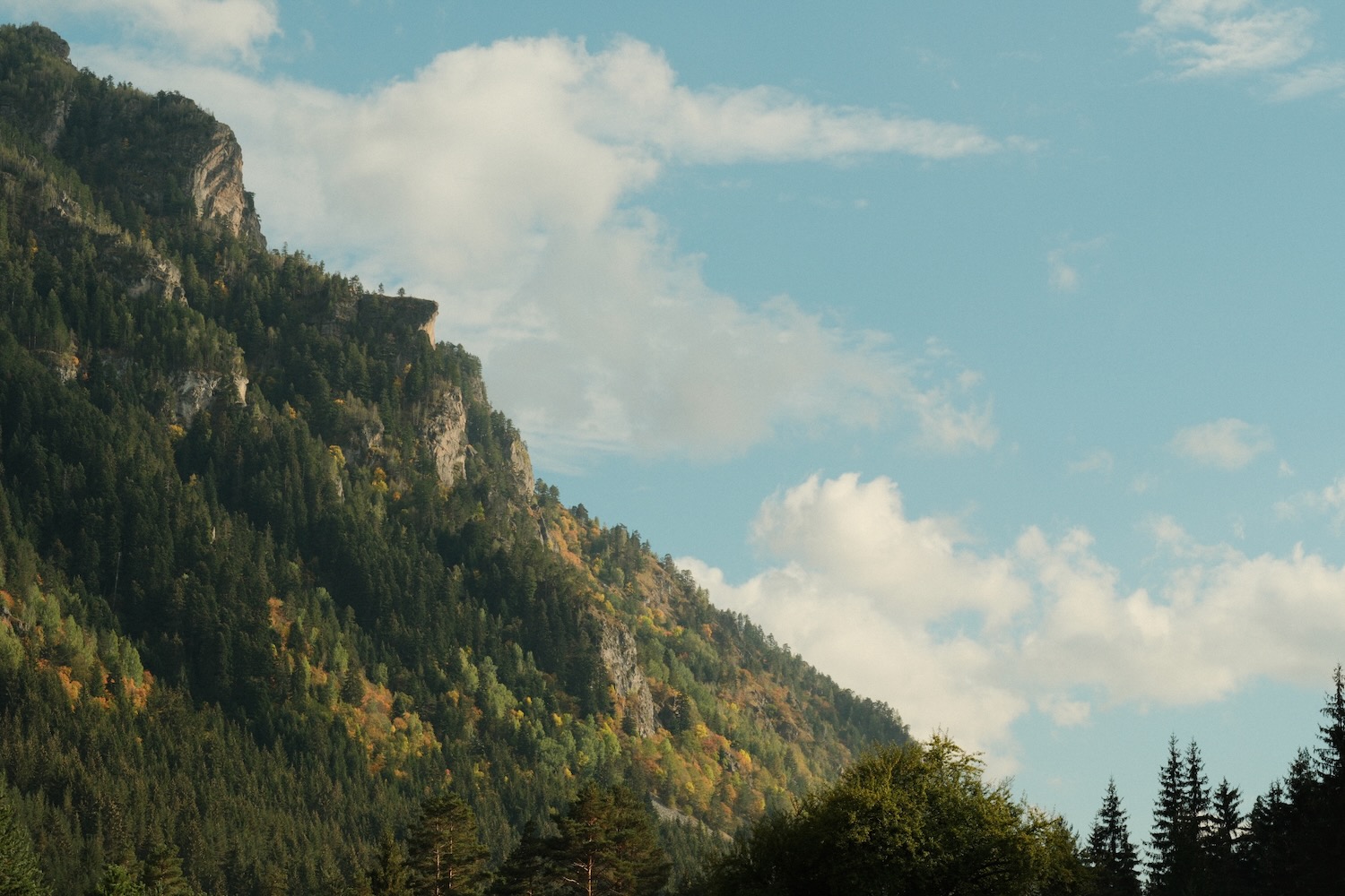 Autumn in Rila Mountain