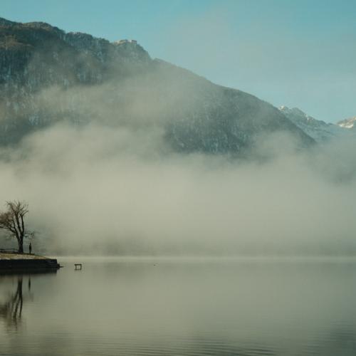 At Bohinj Lake